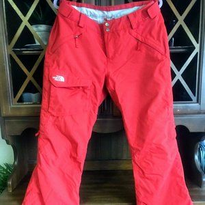 The North Face Freedom Insulated Ski / Snow Pants